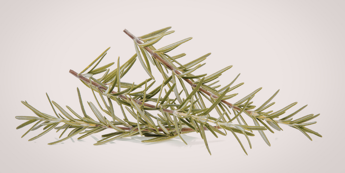 A Quieter Shift, Rooted in the Same Values