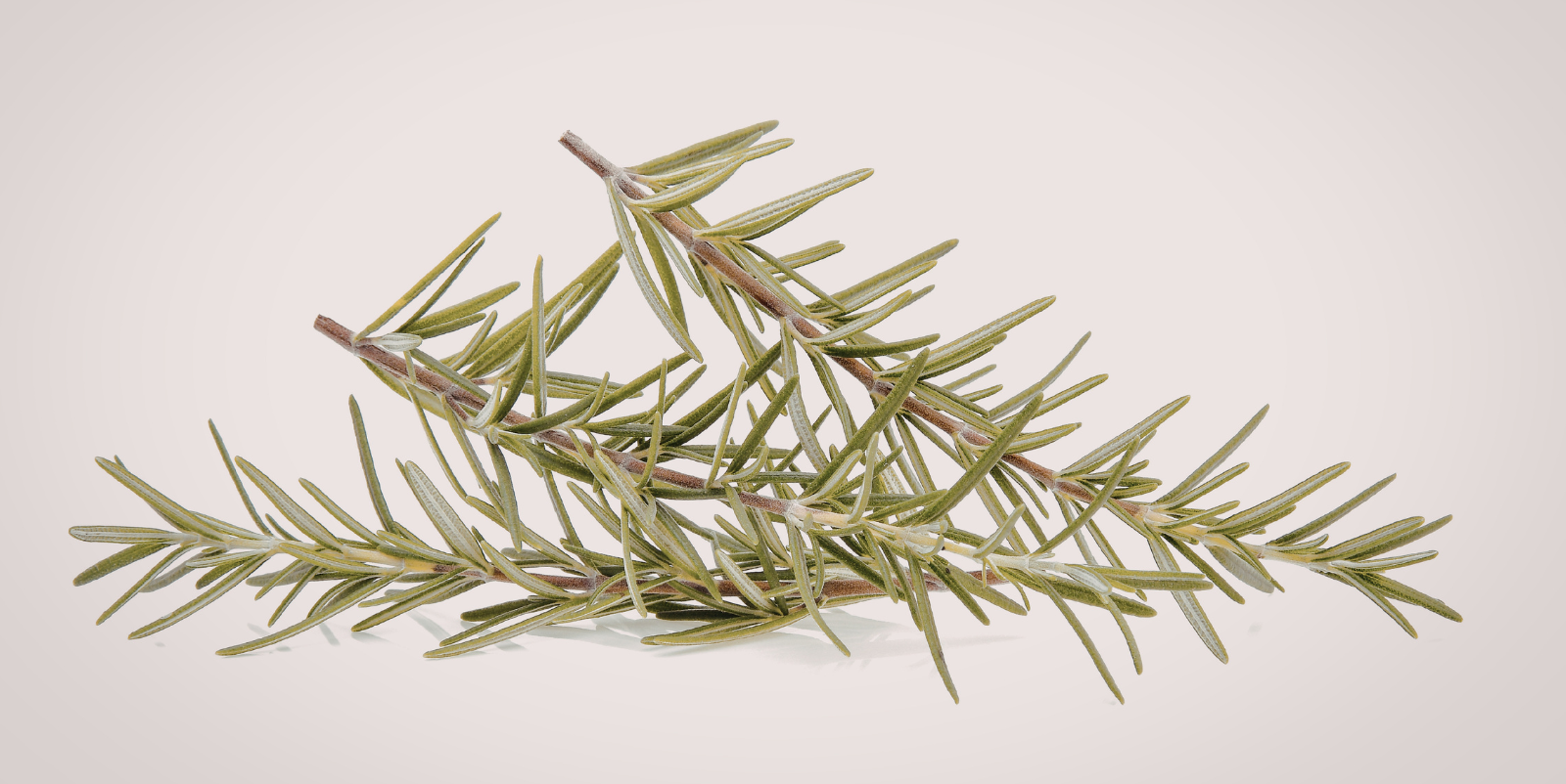 A Quieter Shift, Rooted in the Same Values