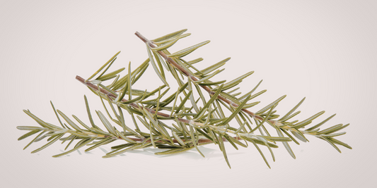 A Quieter Shift, Rooted in the Same Values