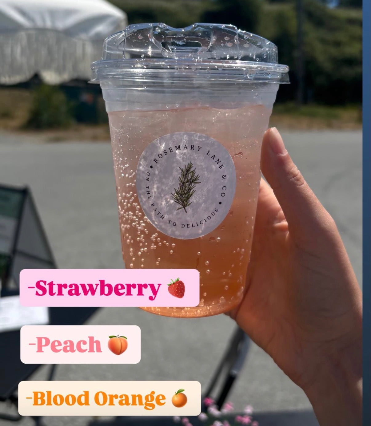 Italian Soda